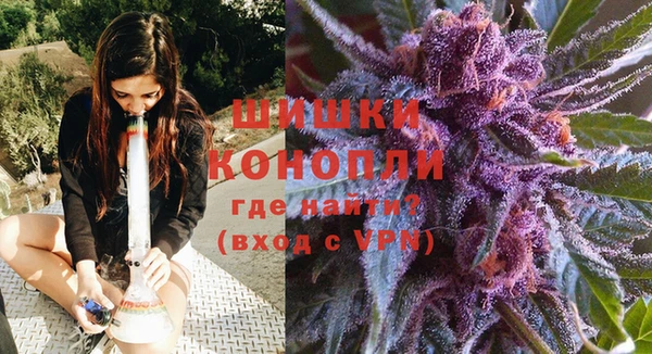 Альфа ПВП Бугульма