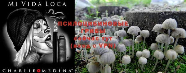 Альфа ПВП Бугульма