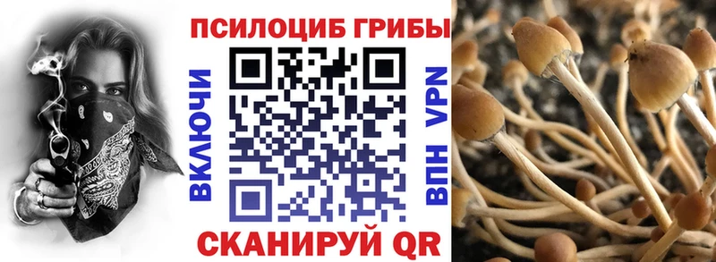 Псилоцибиновые грибы ЛСД  ссылка на мегу как зайти  Ярцево  купить наркотики цена 